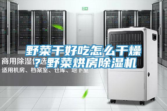 野菜干好吃怎么干燥?野菜烘房除濕機