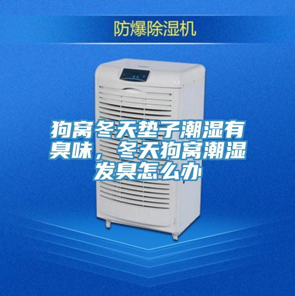 狗窩冬天墊子潮濕有臭味,冬天狗窩潮濕發臭怎么辦