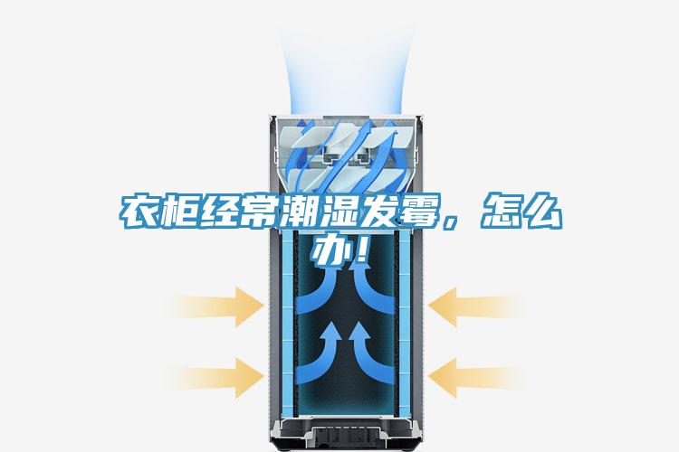 衣柜經常潮濕發霉，怎么辦！
