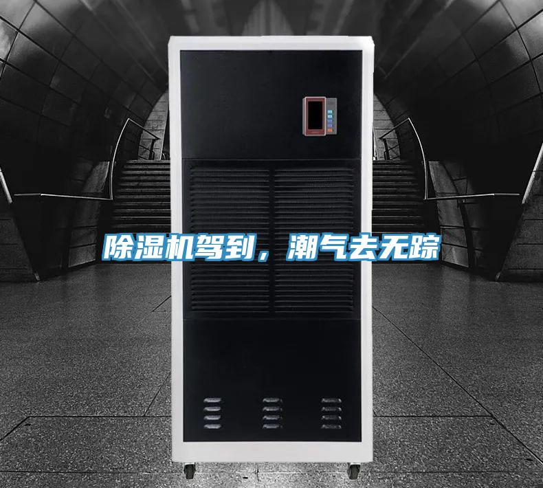 除濕機(jī)駕到,潮氣去無蹤