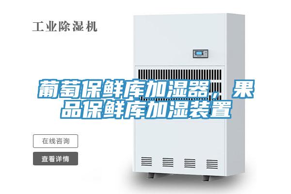 葡萄保鮮庫加濕器,果品保鮮庫加濕裝置