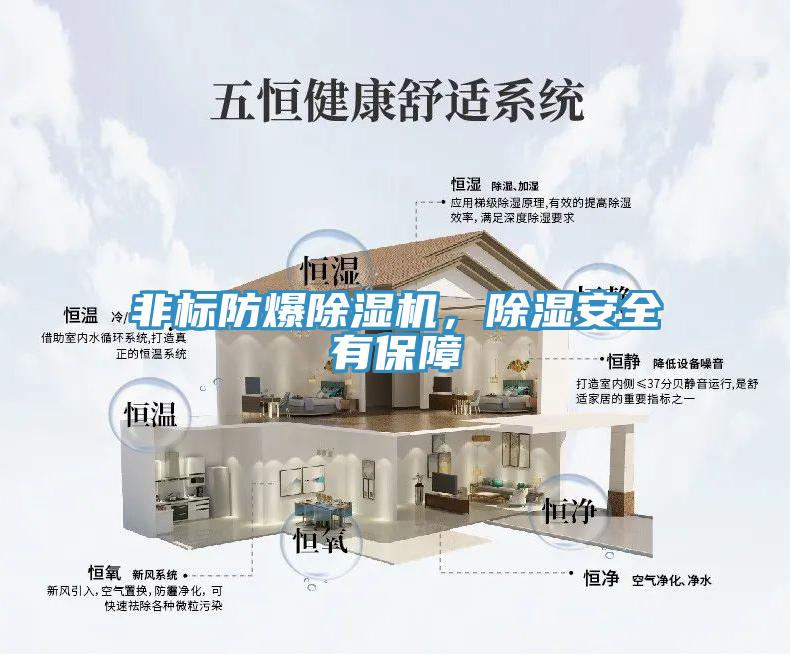 非標(biāo)防爆除濕機(jī),除濕安全有保障