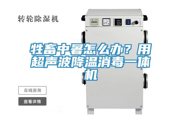 牲畜中暑怎么辦?用超聲波降溫消毒一體機