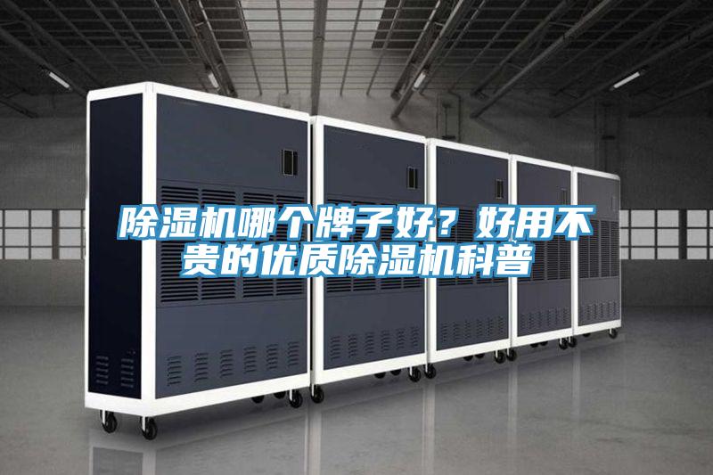 除濕機哪個牌子好?好用不貴的優質除濕機科普