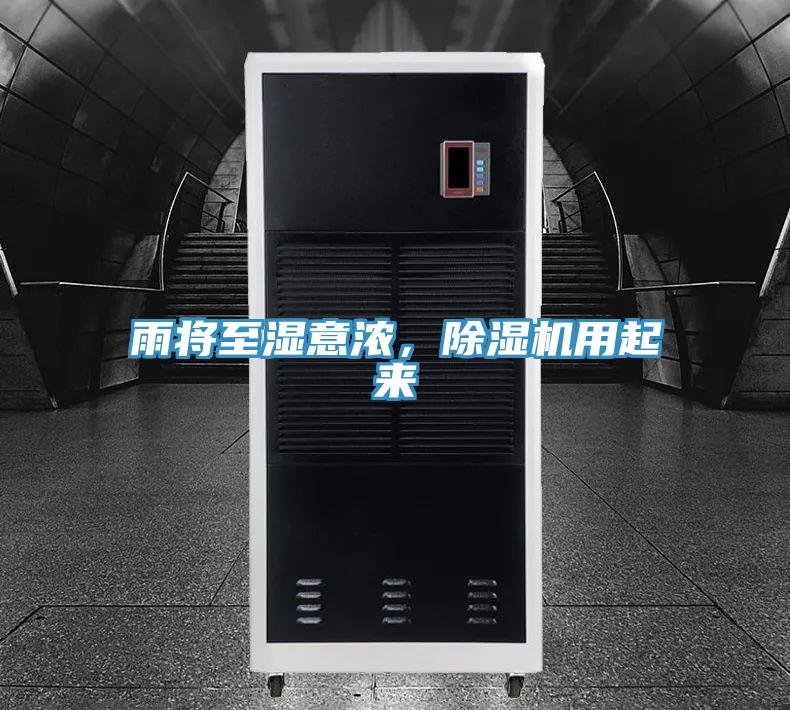 雨將至濕意濃，除濕機用起來