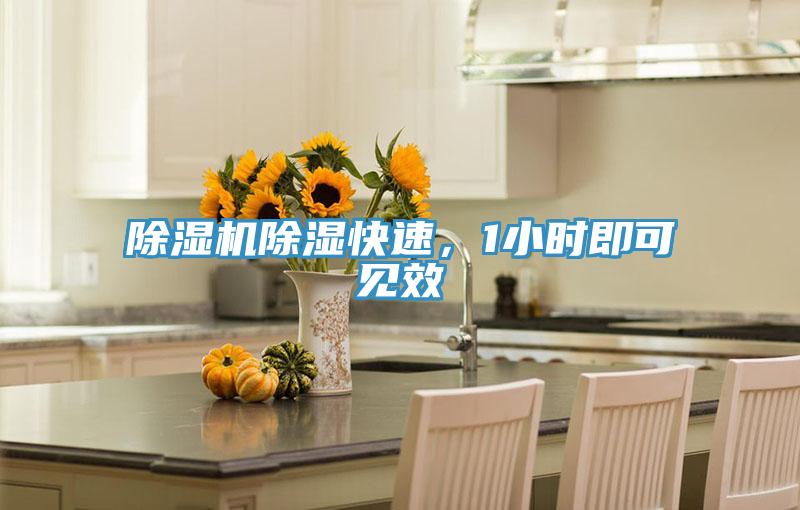除濕機除濕快速,1小時即可見效