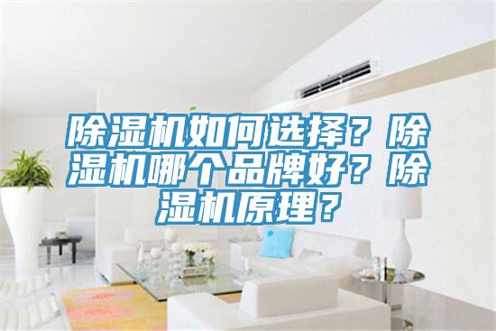 除濕機如何選擇？除濕機哪個品牌好？除濕機原理？