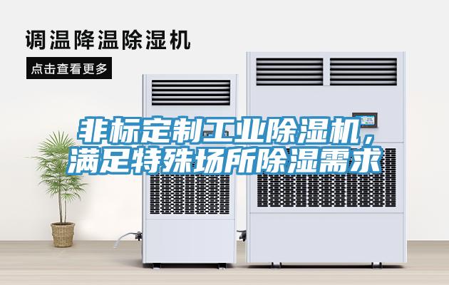 非標(biāo)定制工業(yè)除濕機(jī),滿足特殊場所除濕需求