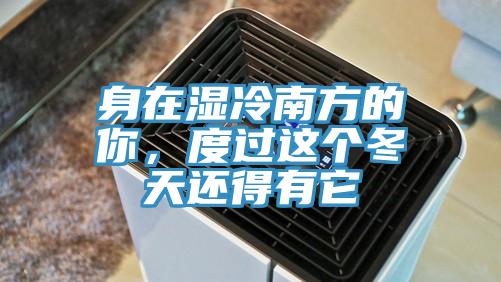 身在濕冷南方的你，度過這個冬天還得有它