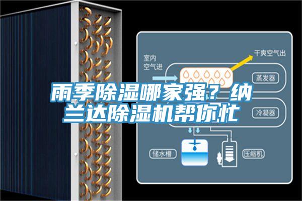 雨季除濕哪家強？納蘭達除濕機幫你忙