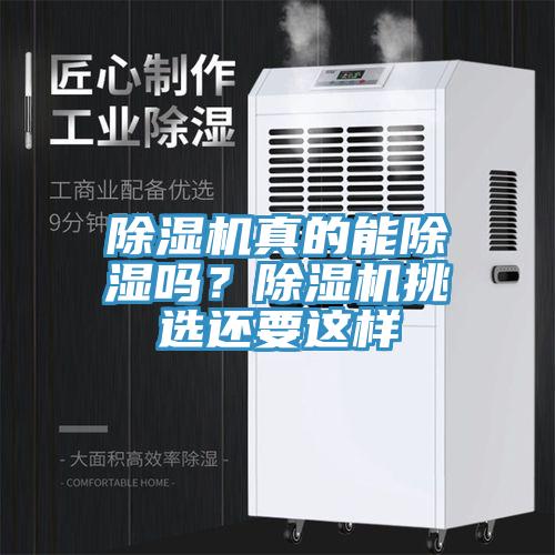 除濕機真的能除濕嗎？除濕機挑選還要這樣