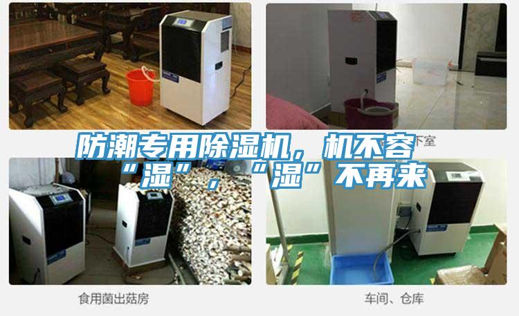 防潮專用除濕機，機不容“濕”，“濕”不再來