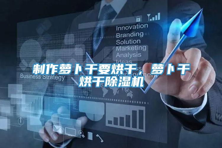制作蘿卜干要烘干,蘿卜干烘干除濕機(jī)