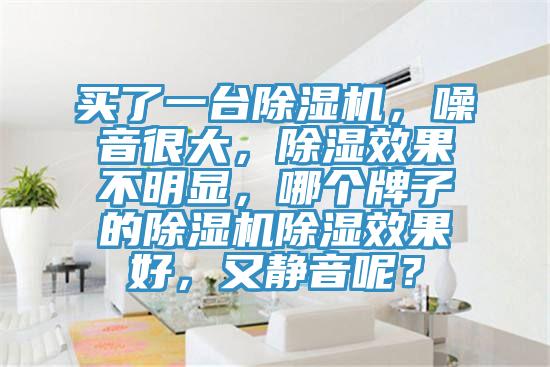 買了一臺除濕機，噪音很大，除濕效果不明顯，哪個牌子的除濕機除濕效果好，又靜音呢？