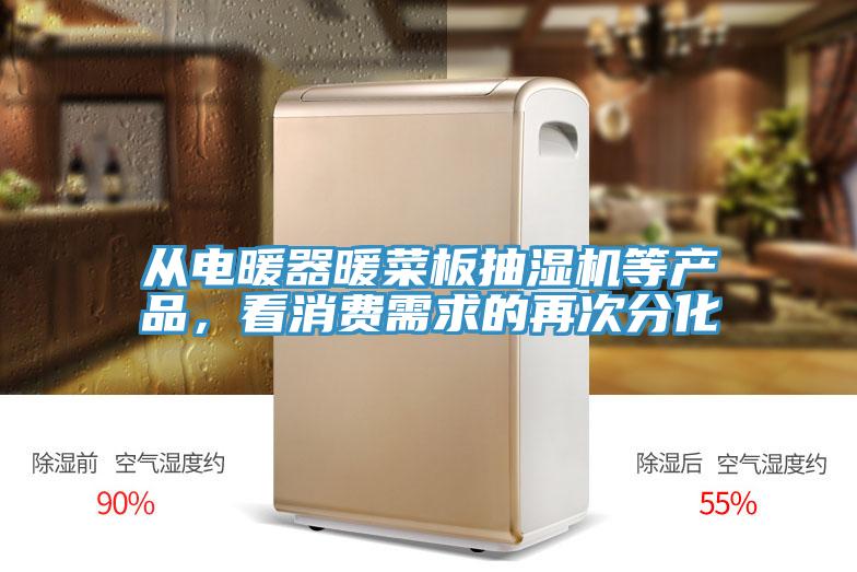 從電暖器暖菜板抽濕機(jī)等產(chǎn)品,看消費(fèi)需求的再次分化
