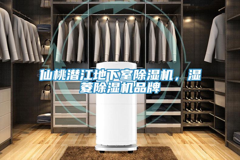 仙桃潛江地下室除濕機(jī)，濕菱除濕機(jī)品牌