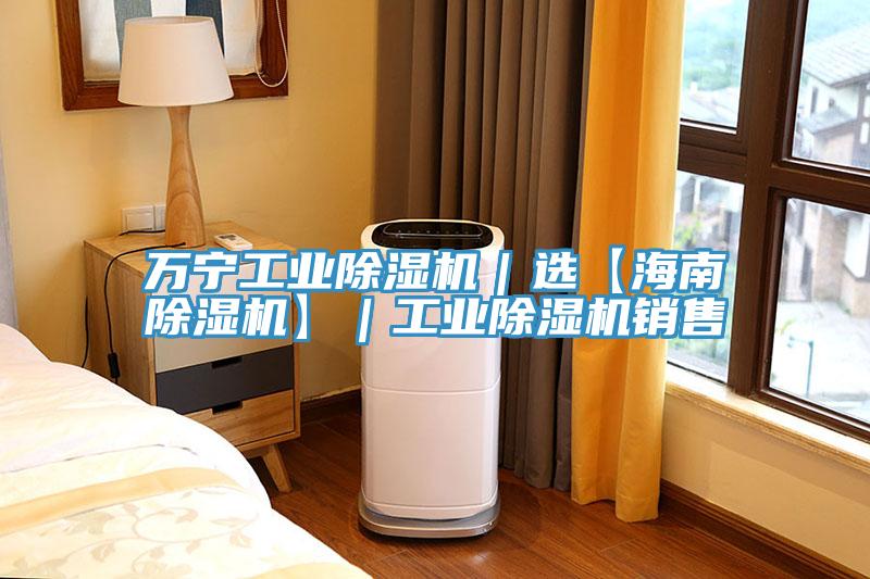 萬寧工業除濕機|選【海南除濕機】|工業除濕機銷售