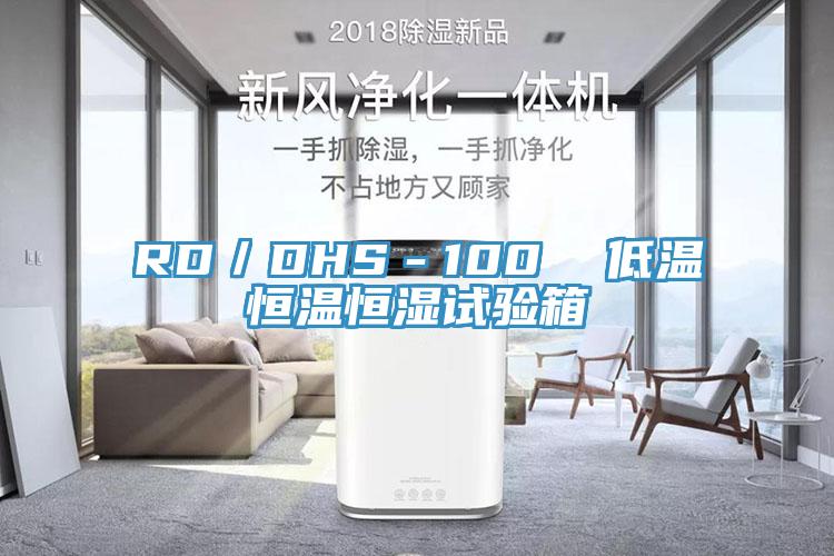 RD/DHS-100 低溫恒溫恒濕試驗箱