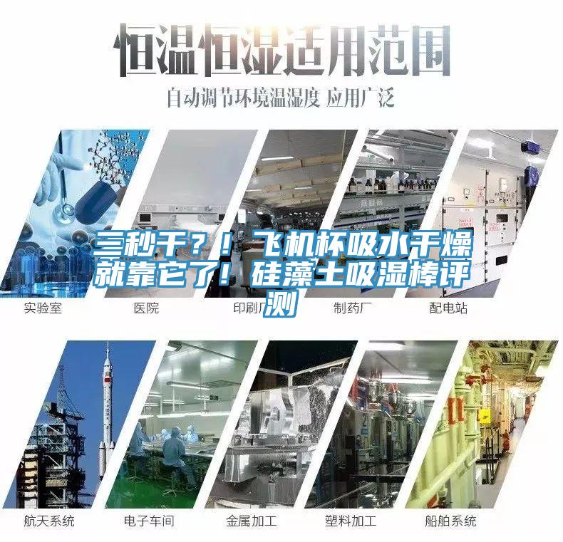 三秒干?! 飛機杯吸水干燥就靠它了! 硅藻土吸濕棒評測