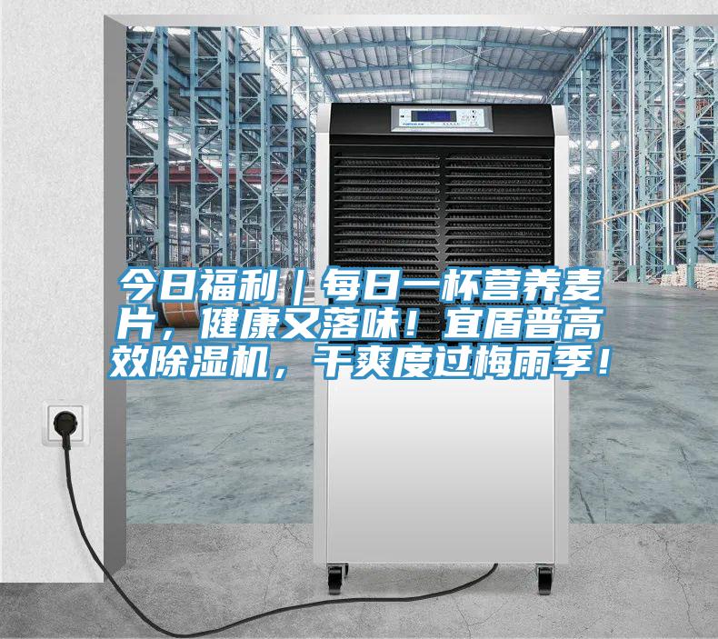 今日福利｜每日一杯營(yíng)養(yǎng)麥片，健康又落味！宜盾普高效除濕機(jī)，干爽度過(guò)梅雨季！