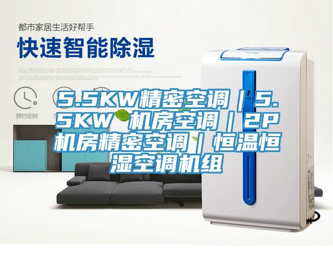5.5KW精密空調(diào)|5.5KW 機房空調(diào)|2P機房精密空調(diào)|恒溫恒濕空調(diào)機組