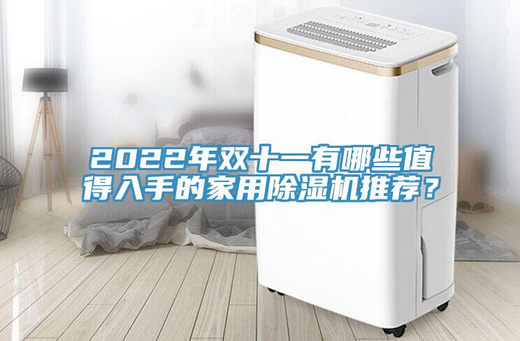2022年雙十一有哪些值得入手的家用除濕機(jī)推薦？