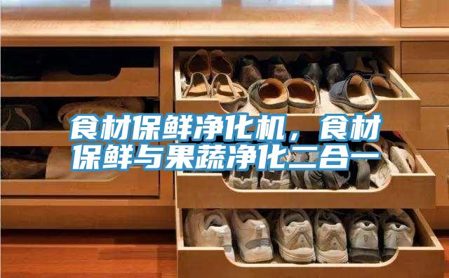 食材保鮮凈化機,食材保鮮與果蔬凈化二合一