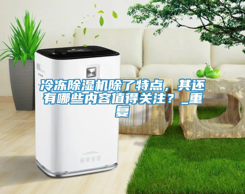冷凍除濕機除了特點，其還有哪些內容值得關注？_重復