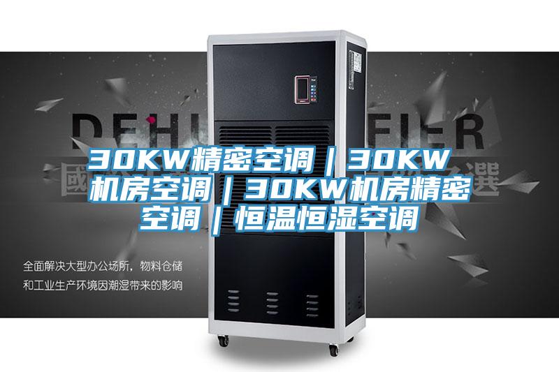 30KW精密空調(diào)|30KW 機房空調(diào)|30KW機房精密空調(diào)|恒溫恒濕空調(diào)