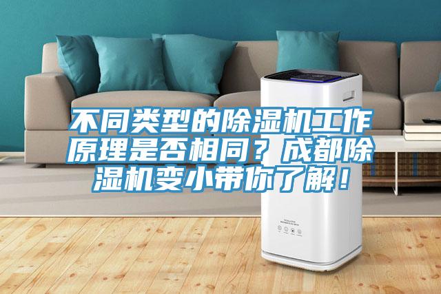 不同類型的除濕機工作原理是否相同?成都除濕機變小帶你了解!