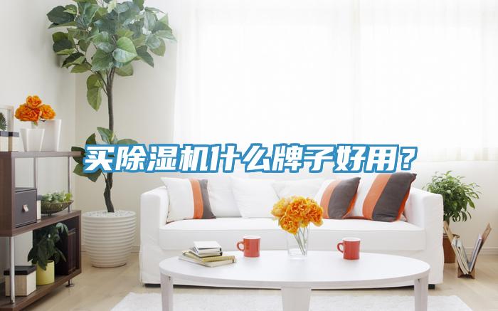 買除濕機什么牌子好用？