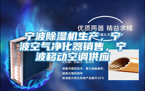 寧波除濕機生產(chǎn),寧波空氣凈化器銷售,寧波移動空調供應