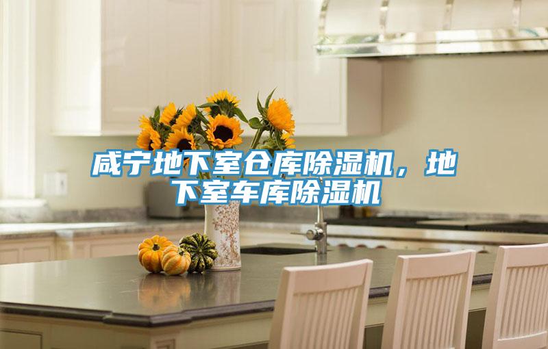 咸寧地下室倉庫除濕機，地下室車庫除濕機