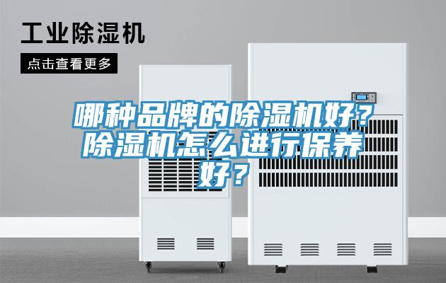 哪種品牌的除濕機好?除濕機怎么進行保養好?