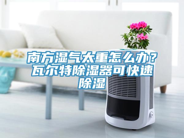 南方濕氣太重怎么辦?瓦爾特除濕器可快速除濕