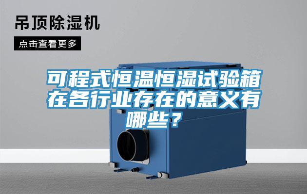 可程式恒溫恒濕試驗箱在各行業(yè)存在的意義有哪些?