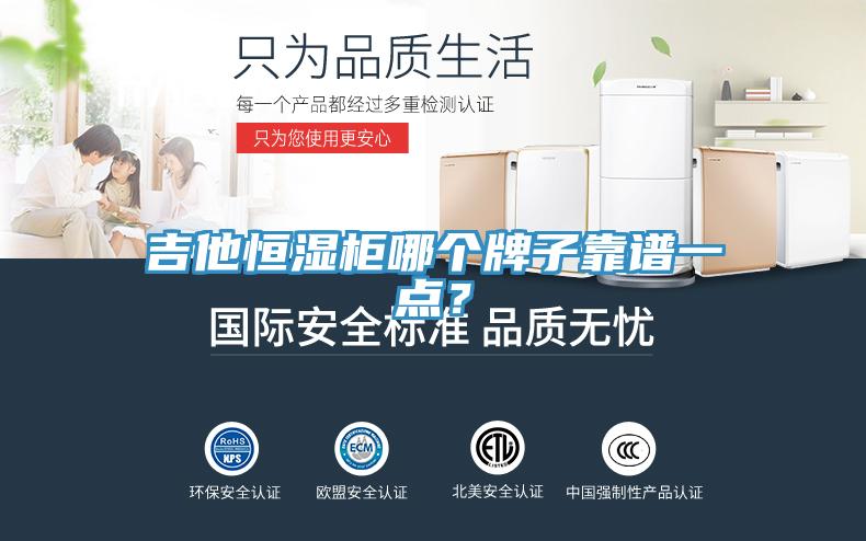 吉他恒濕柜哪個(gè)牌子靠譜一點(diǎn)?