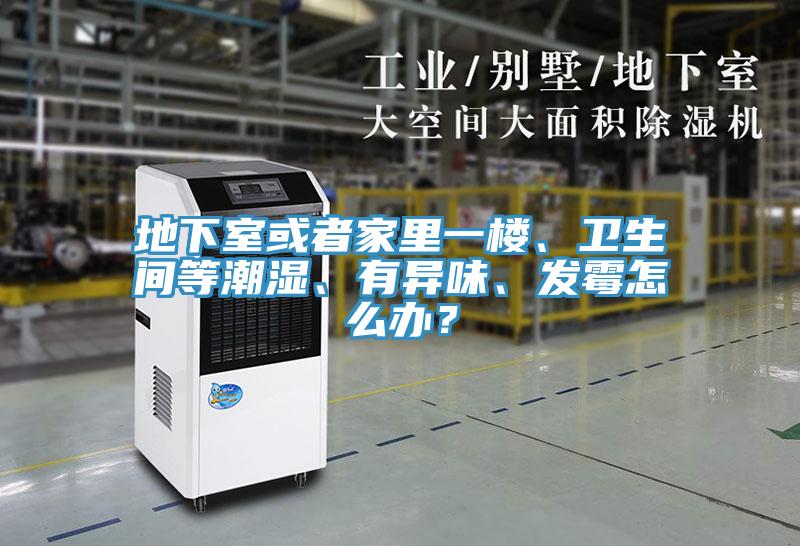地下室或者家里一樓、衛(wèi)生間等潮濕、有異味、發(fā)霉怎么辦？