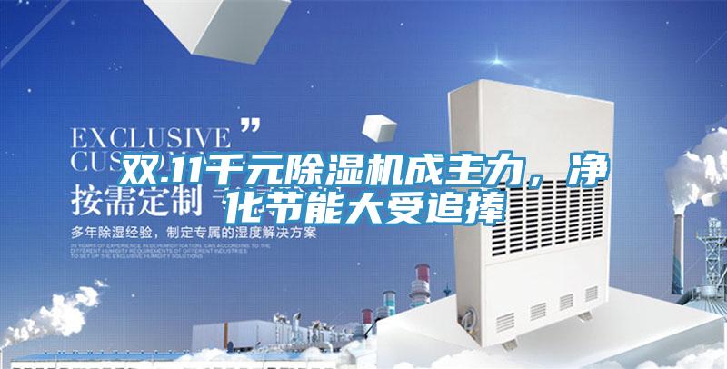 雙.11千元除濕機(jī)成主力,凈化節(jié)能大受追捧