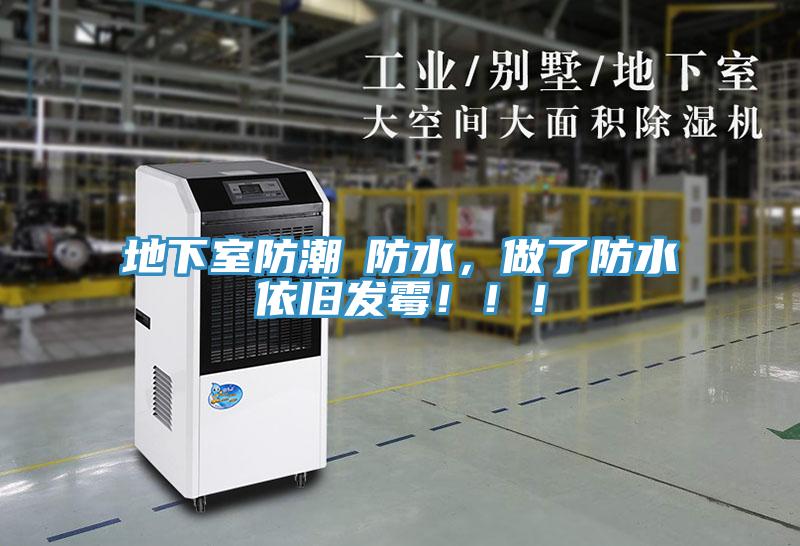 地下室防潮≠防水，做了防水依舊發(fā)霉?。。?></div>
								<div   id=