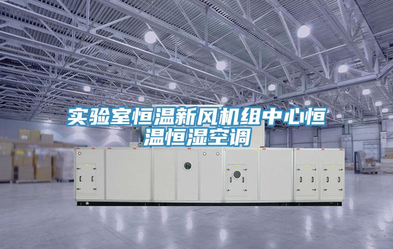 實驗室恒溫新風機組中心恒溫恒濕空調(diào)