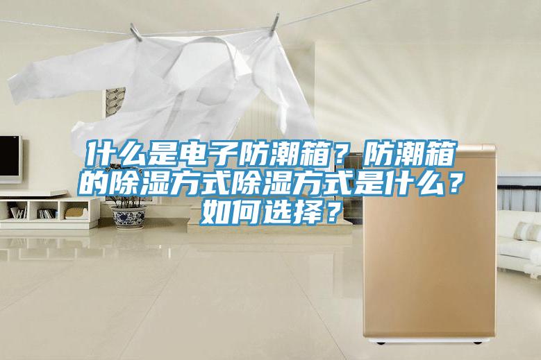 什么是電子防潮箱？防潮箱的除濕方式除濕方式是什么？如何選擇？