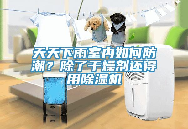 天天下雨室內(nèi)如何防潮？除了干燥劑還得用除濕機