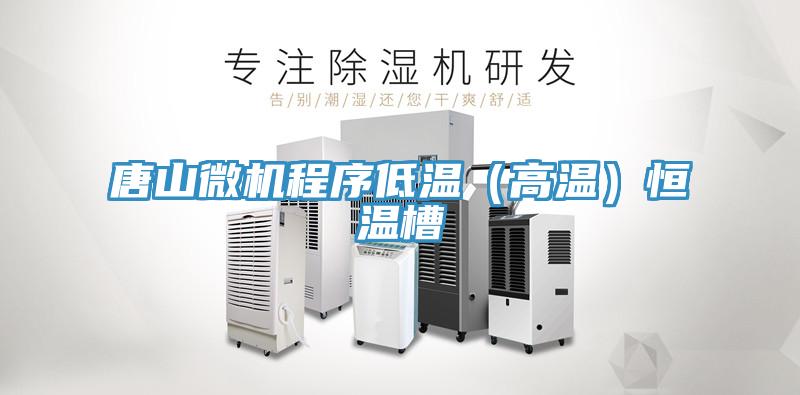 唐山微機(jī)程序低溫(高溫)恒溫槽