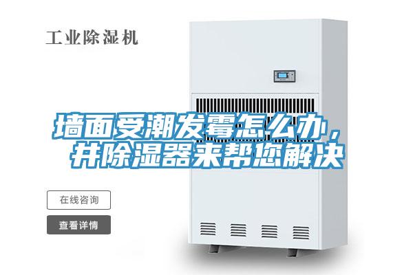 墻面受潮發霉怎么辦，東井除濕器來幫您解決