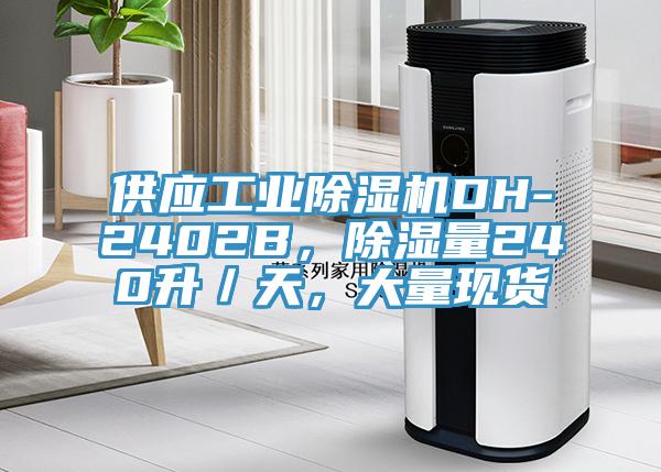 供應工業除濕機DH-2402B，除濕量240升／天，大量現貨