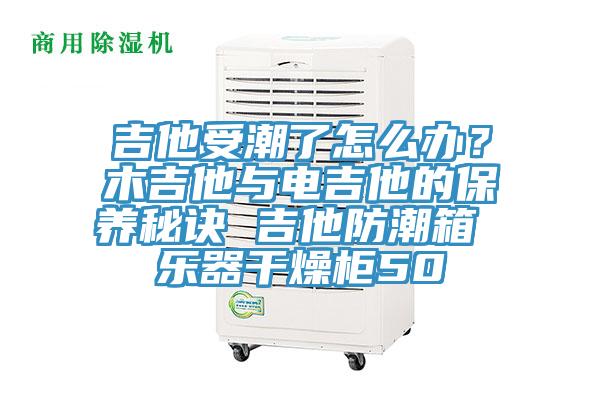 吉他受潮了怎么辦?木吉他與電吉他的保養(yǎng)秘訣 吉他防潮箱 樂器干燥柜50