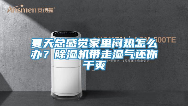 夏天總感覺家里悶熱怎么辦？除濕機帶走濕氣還你干爽