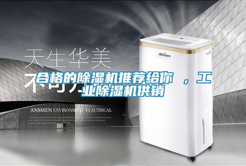 合格的除濕機推薦給你 ，工業除濕機供銷