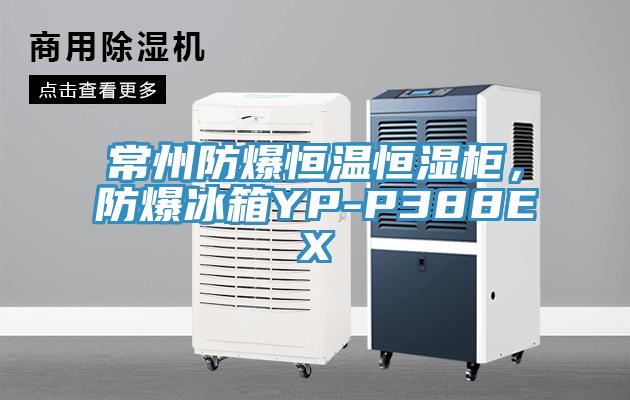 常州防爆恒溫恒濕柜，防爆冰箱YP-P388EX